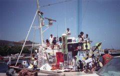 1988 elisabeth 240